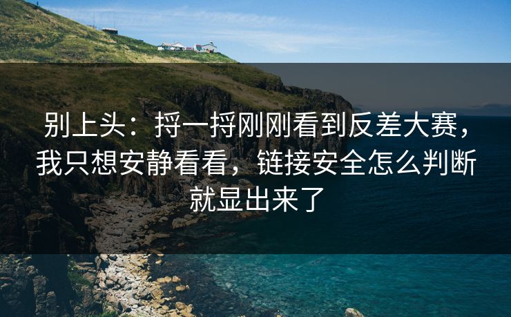 别上头：捋一捋刚刚看到反差大赛，我只想安静看看，链接安全怎么判断就显出来了