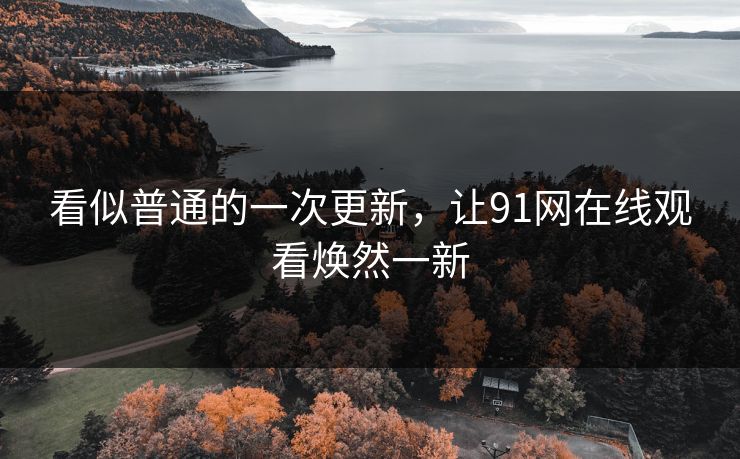 看似普通的一次更新，让91网在线观看焕然一新